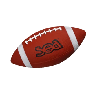Ballon de football américain