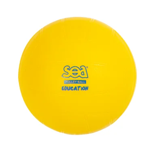 Ballon de volley initiation