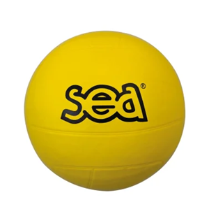 Ballon multisports