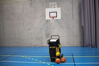 Ballon de basket POWERCART® Noir/Jaune