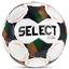 Futsal Planet - White/Green / official size