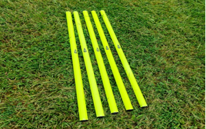 Image de Lot de 5 jalons jaune 80cm