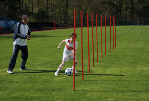Afbeelding van 160cm rode slalompalen