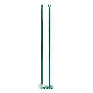 Image sur Tiges à filet unique vert